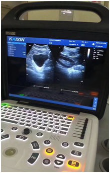 1773035914172412.png image.png